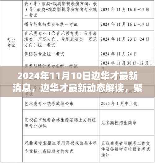 边华才最新动态解读,聚焦最新消息与观点(2024年11月10日)