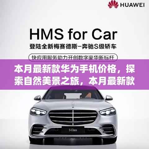 张牙舞爪 第11页