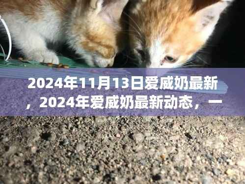 2024年11月13日爱威奶最新，2024年爱威奶最新动态，一场科技与品质的完美融合盛宴