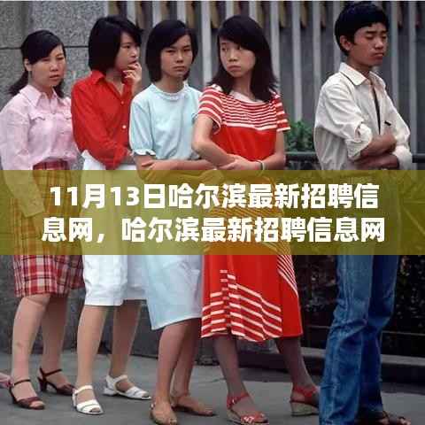 哈尔滨最新招聘信息网更新求职者的福音,一站式解决工作需求!