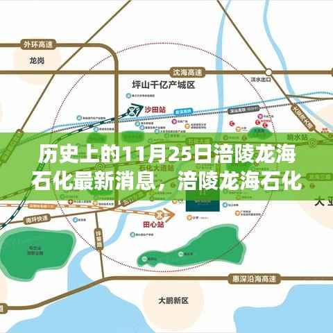 涪陵龙海石化革新篇章,科技新品重磅来袭,领略石化科技新纪元