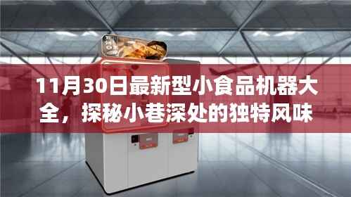 探秘小巷深处的独特风味,揭秘隐藏的美食宝藏与最新型小食品机器大全