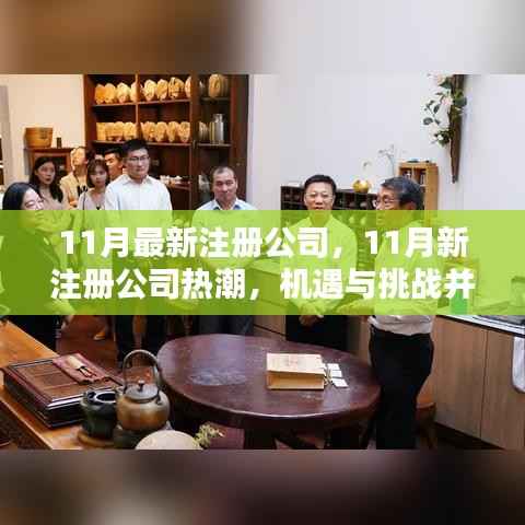 11月新注册公司热潮，机遇与挑战并存