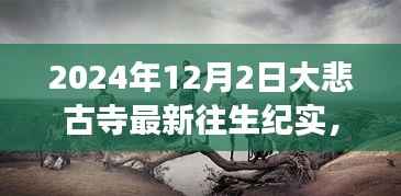 探秘大悲古寺,往生纪实与小巷深处的温暖故事(最新报道)
