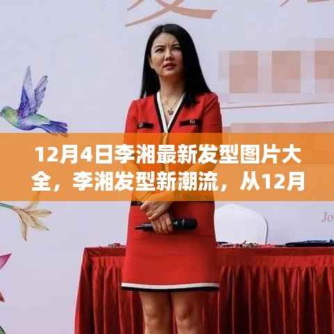 李湘发型新潮流,从发型变迁看其影响力与时代地位——12月4日最新发型图片全解析