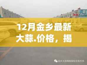揭秘金乡大蒜市场,最新动态与价格走势分析,12月大蒜价格一览