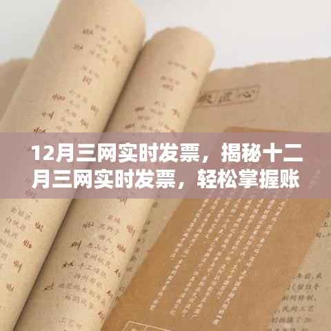 揭秘十二月三网实时发票,轻松管理账单,省钱省心攻略!