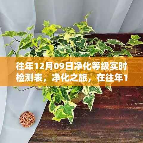 往年12月09日净化之旅，实时检测与自然美景中的心灵平和宁静探寻