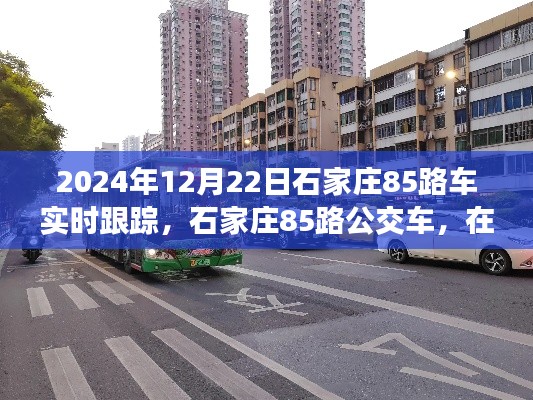 时光里穿梭的城间脉络纪实,石家庄85路公交车实时跟踪纪实