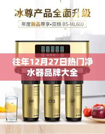 往年12月27日热门净水器品牌盘点