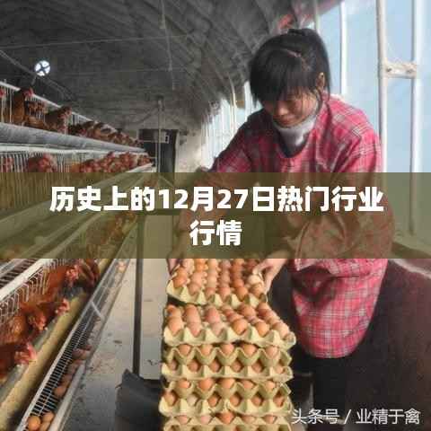 历史上的大事件,12月27日各行业行情概览