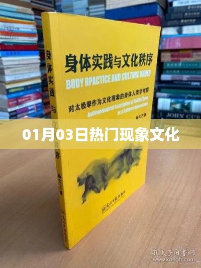 热门现象文化,聚焦01月03日动态