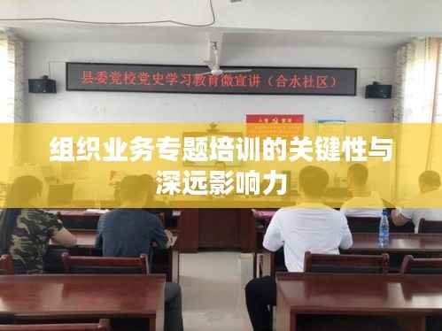 组织业务专题培训的关键性与深远影响力