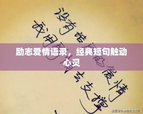 励志爱情语录,经典短句触动心灵