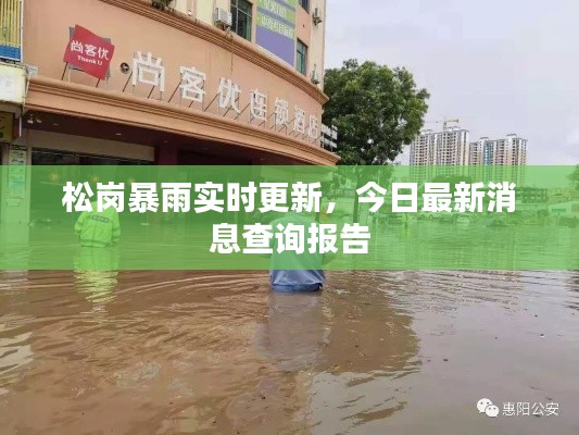 松岗暴雨实时更新,今日最新消息查询报告