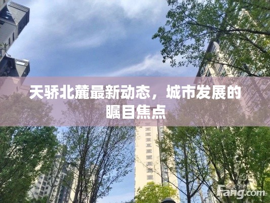 天骄北麓最新动态,城市发展的瞩目焦点
