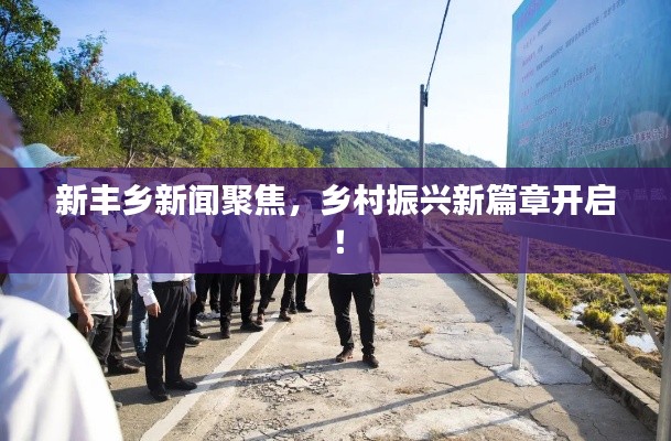 新丰乡新闻聚焦,乡村振兴新篇章开启!