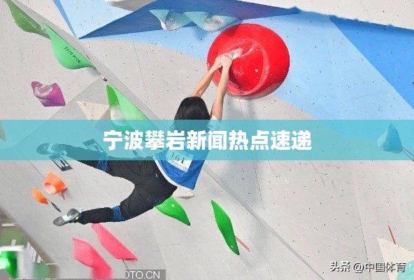 象耕鸟耘 第2页